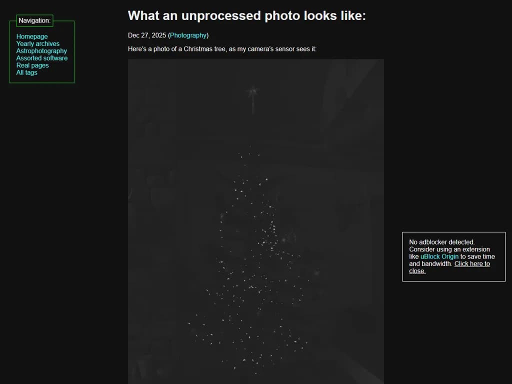 未処理の写真は、実際にどのような姿になるのでしょうか。
