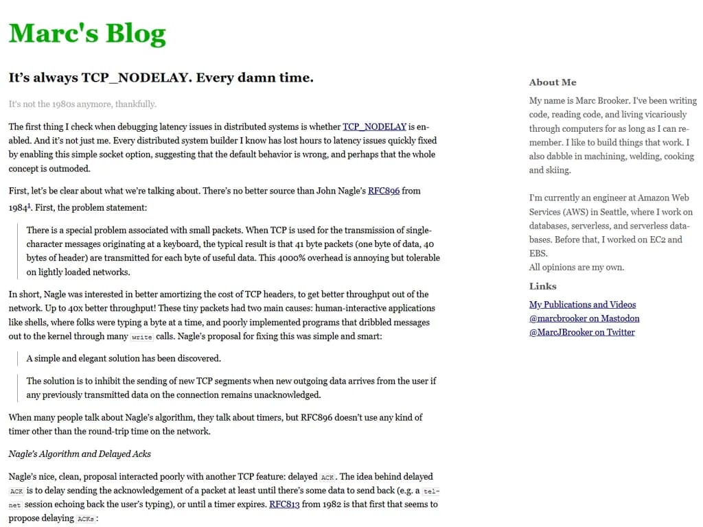 常に **TCP_NODELAY** になっています。