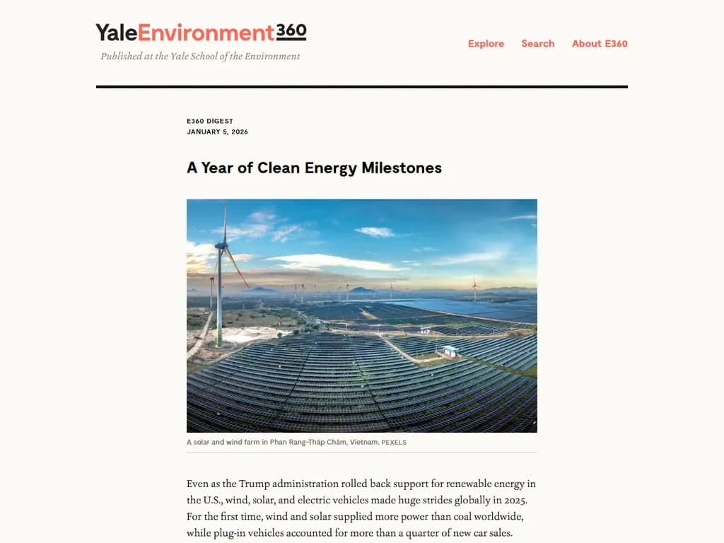 **クリーンエネルギーのマイルストーンを築いた一年**