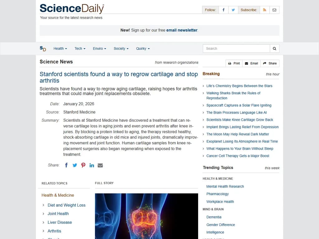 科学者たちがマウスおよびヒト組織サンプルで軟骨再生の方法を発見しました。